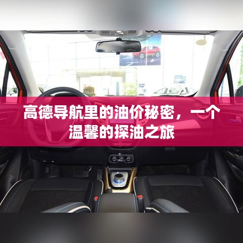 张弛不定 第3页