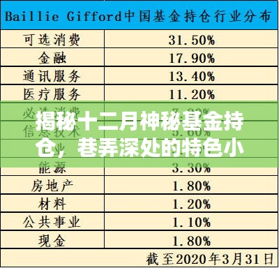 揭秘十二月神秘基金持仓与探索金融投资魅力的独特小店之旅