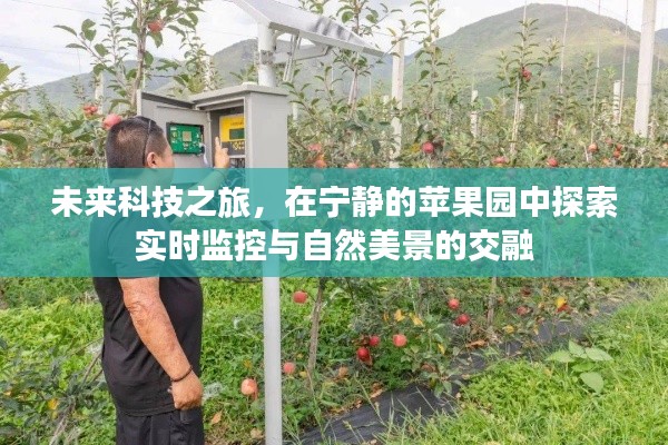 未来科技之旅，苹果园中的实时监控与自然美景交融探索