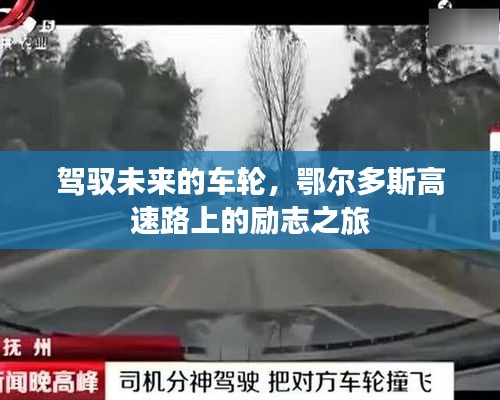 温柔敦厚 第3页