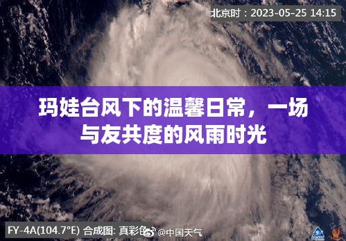 衣不完采 第3页