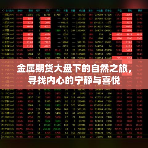 金属期货背景下的自然之旅，探寻内心宁静与喜悦之道