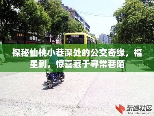 如花似玉 第3页