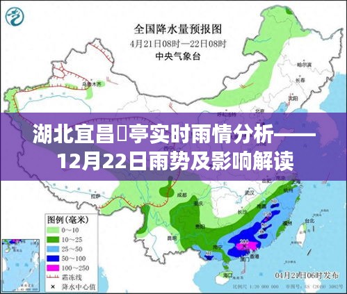 穷鸟入怀 第3页