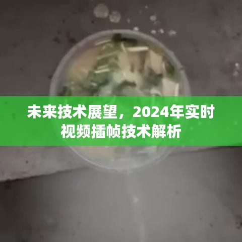 未来技术展望，实时视频插帧技术解析与预测（至2024年）