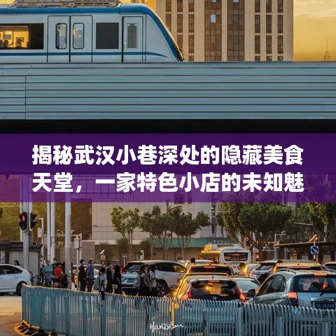 武汉小巷深处的隐藏美食天堂，揭秘特色小店的未知魅力与实时惊喜探索（2024年12月22日）