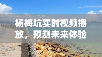 杨梅坑实时视频播放，未来体验的全面解析与展望