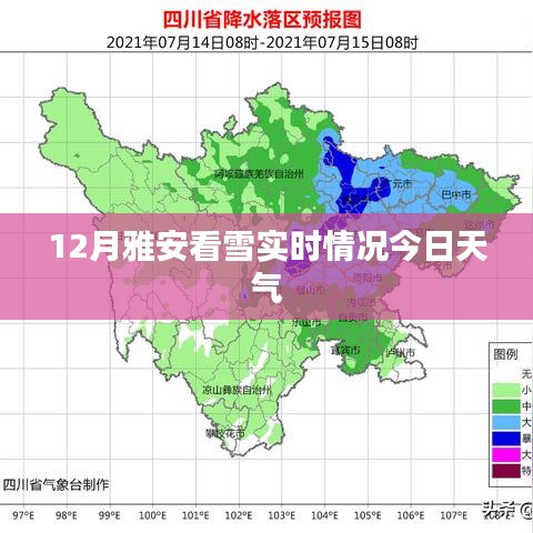 雅安看雪实时情况，今日天气预报及赏析