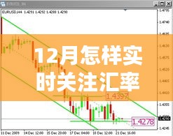 12月汇率走势实时关注指南