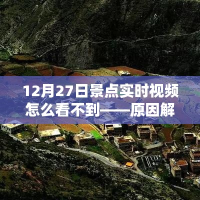一枝独秀 第3页