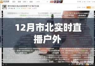 林下风气 第2页
