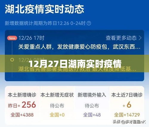 富贵骄人 第3页