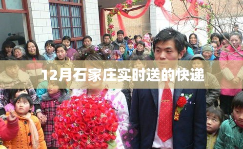 十年磨剑 第3页