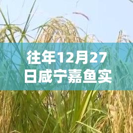 咸宁嘉鱼往年12月27日实时天气概况