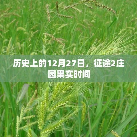 举世无双 第3页