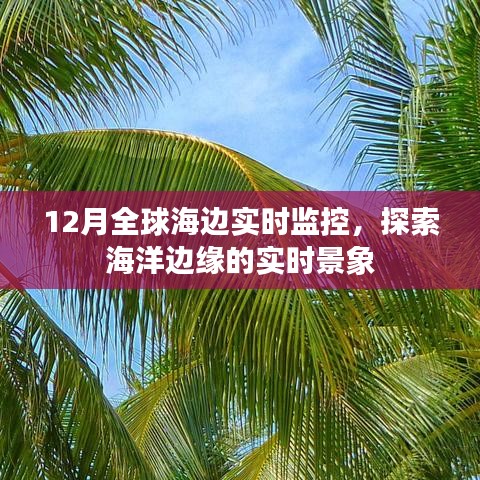 全球海边实时监控，探索海洋边缘美景