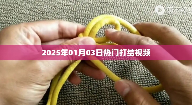 气宇轩昂 第3页