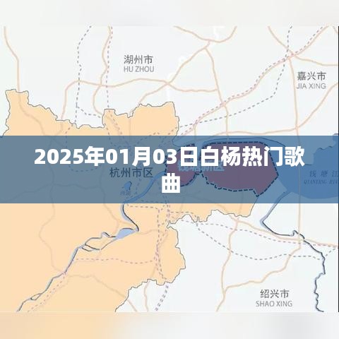白杨最新热门歌曲大盘点（2025年）