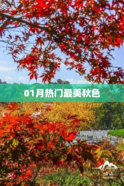 帮助中心 第193页