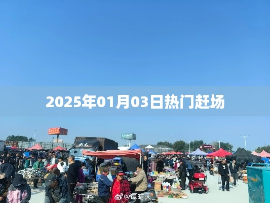 2025年元旦后热门赶场活动盛况