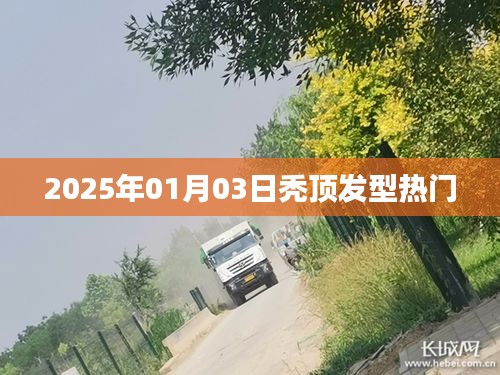 2025年热门秃顶发型趋势分析