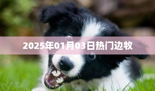 悠然自得 第3页