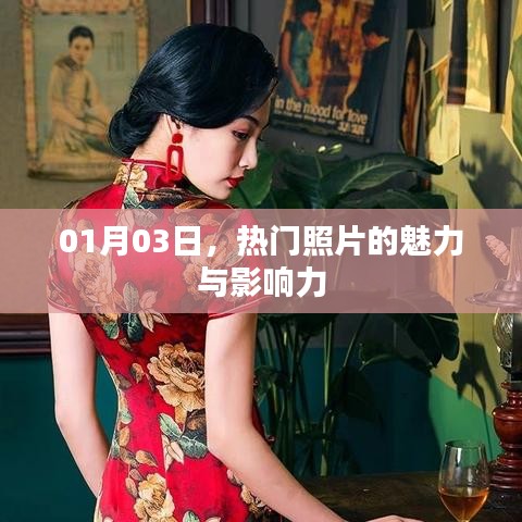 指李推张 第3页