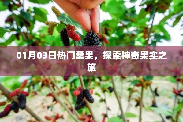 蹑蹻檐簦 第3页