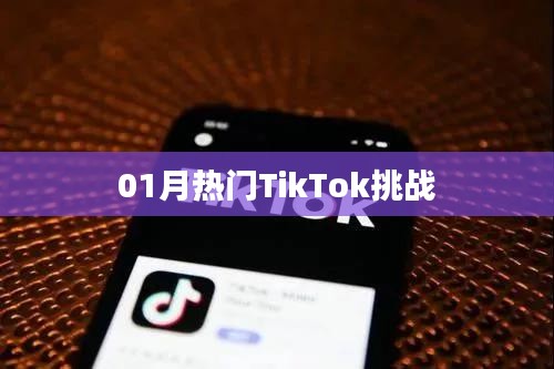 TikTok热门挑战一月盘点