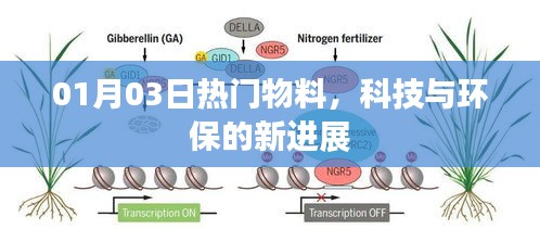 贵耳贱目 第2页