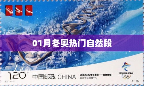 销声匿迹 第3页