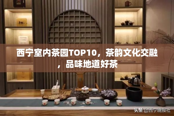衣不重彩 第3页