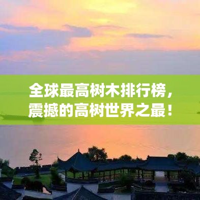吉光片羽 第3页