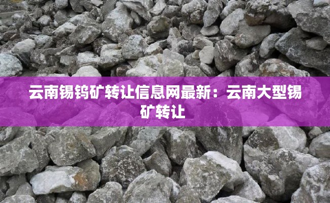 水静河飞 第3页