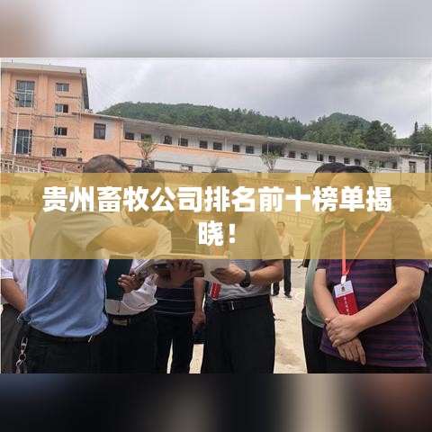 建站服务 第171页