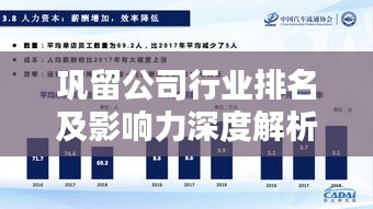 巩留公司行业排名及影响力深度解析