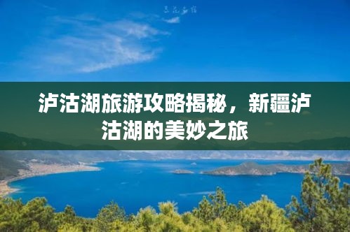 映月读书 第2页