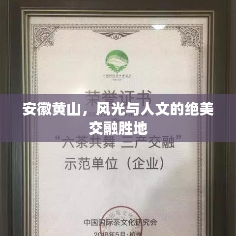 尽心竭力 第2页