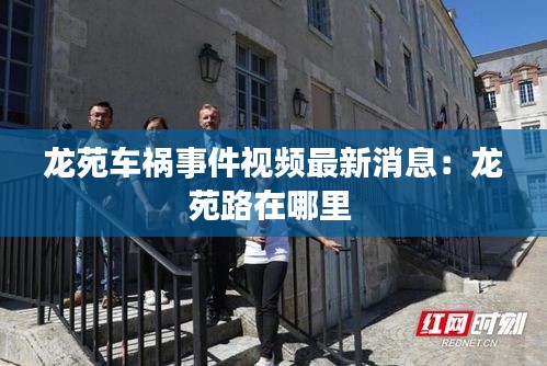 轻飞曼舞 第3页