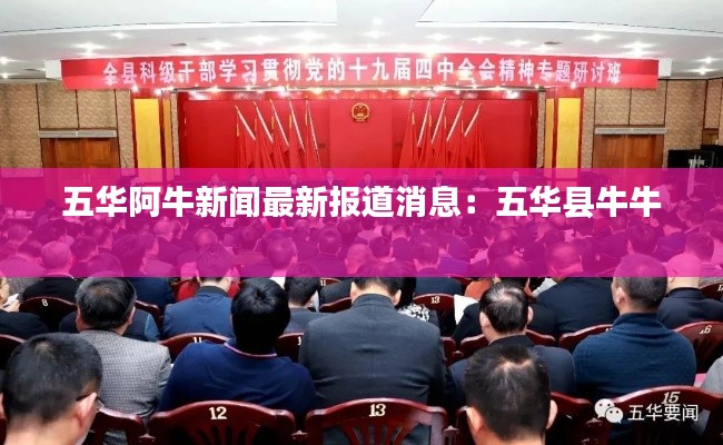 难得可贵 第2页