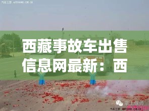 西藏事故车出售信息网最新：西藏 车祸 
