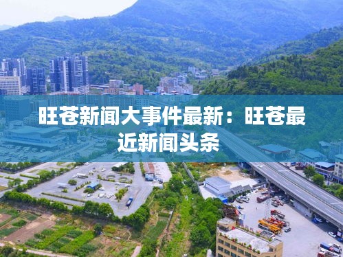 夭桃秾李 第2页