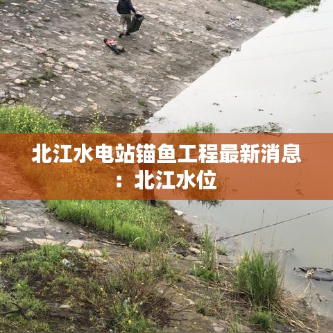 张冠李戴 第2页
