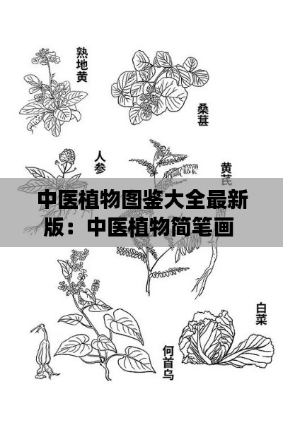 蹉跎岁月 第2页