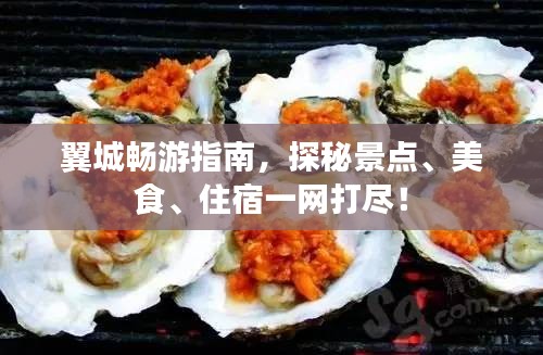只争朝夕 第2页