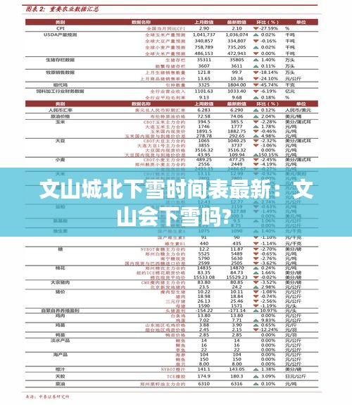 东张西望 第2页