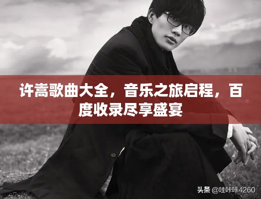 许嵩歌曲大全,音乐之旅启程,百度收录尽享盛宴