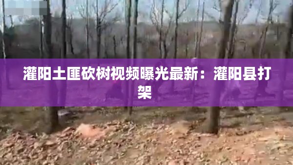 改弦易张 第2页