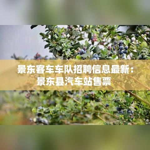 景东客车车队招聘信息最新：景东县汽车站售票 