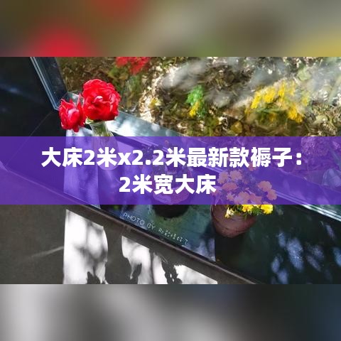 朝乾夕惕 第2页